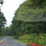 2017OTRA-1_1126 (August 28, 2017)